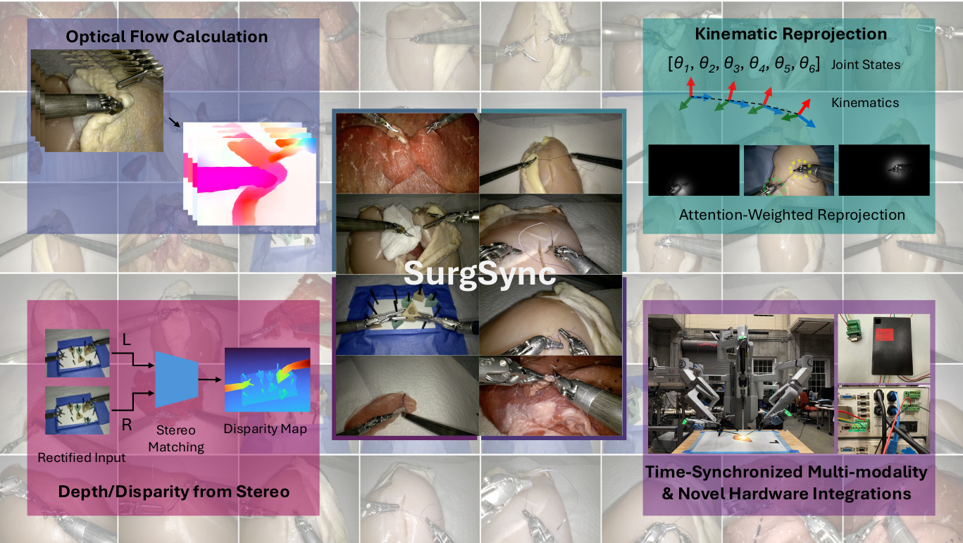 SurgSync: Time-Synchronized Multi-Modal Data Collection Framework and Dataset for Surgical Robotics